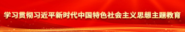 嗯啊插进我的骚逼里视频学习贯彻习近平新时代中国特色社会主义思想主题教育