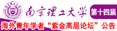 黑人大操金发美人南京理工大学第十四届海外青年学者紫金论坛诚邀海内外英才！